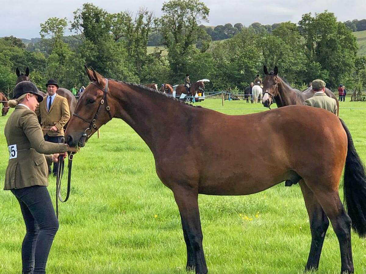 Border Reiver
